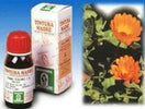 CALENDULA-OFF-5-50ML-TM