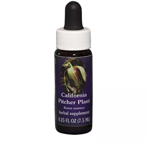 Product Image-0