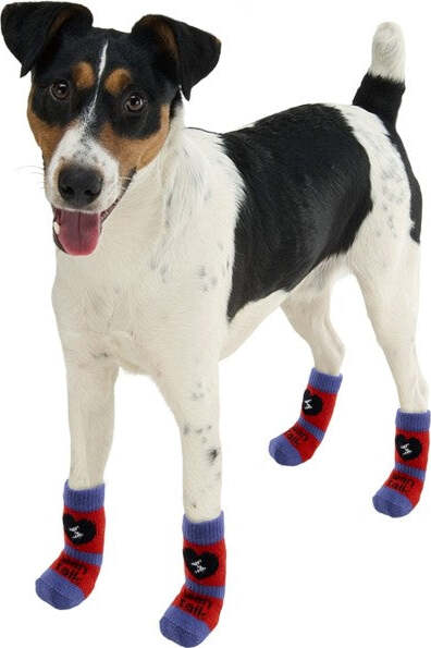 Calzini Per Cane Cani Con Gommini Antiscivoli Fantasie Prodotti per animali domestici/Cani/Abbigliamento e accessori/Stivali e protezione per zampe Trade Shop italia - Napoli, Commerciovirtuoso.it