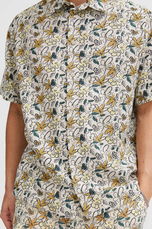 Camicia-Solid-SDllir