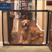 CANCELLETTO PER CANE RECINTO RETE CASA PROTEZIONE REGOLABILE ANIMALE SICUREZZA  Trade Shop italia - Napoli, Commerciovirtuoso.it