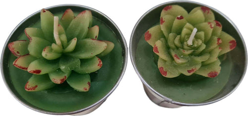 Candela a forma di piantina grassa decorazione luminosa per ambienti Casa e cucina/Decorazioni per interni/Candele e portacandele/Candele/Candele a colonna Decor Space - Altamura, Commerciovirtuoso.it