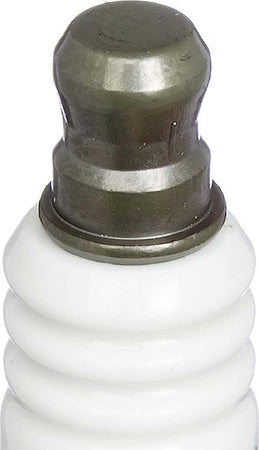 Candela di ricambio accensione motori per motoseghe e decespugliatori Fai da te/Attrezzi elettrici da giardinaggio/Utensili elettrici da giardino/Motoseghe La Zappa - Altamura, Commerciovirtuoso.it