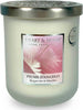 Candela Profumata in Cera di Soia Heart&Home Piume d’Angelo Patchouli Bianco Bergamotto e Muschio 115gr. 30 Ore Biodegradabile Candela Tiziana non solo gioielli - Civitanova Marche, Commerciovirtuoso.it