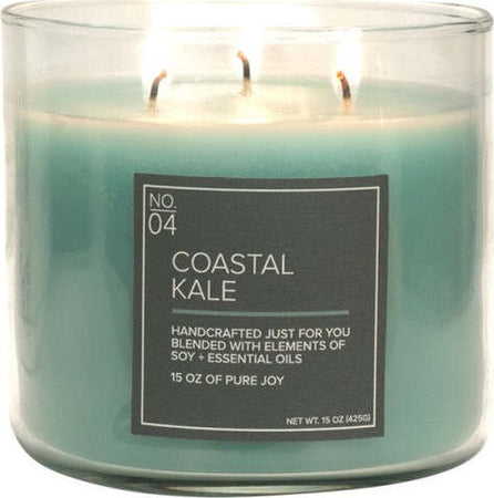 Candele profumare ''VIillage Candle'' forfumatore per ambienti, candela in soia 17 once Casa e cucina/Decorazioni per interni/Candele e portacandele/Candele/Candele in vasetto Decor Space - Altamura, Commerciovirtuoso.it