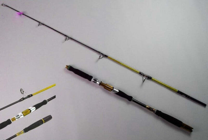 CANNA DA PESCA 2.7M 10/30G TELESCOPICA MARE PORTATILE BARCA Sport e tempo libero/Caccia e Pesca/Pesca/Pesca a mosca/Canne da pesca Trade Shop italia - Napoli, Commerciovirtuoso.it