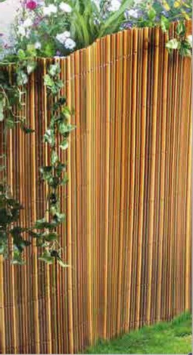 Canniccio Sintetico Lodge in plastica multicolore 1 X 3 MT, resistente a vento e raggi UV Giardino e giardinaggio/Arredamento da giardino e accessori/Schermi e protezioni/Schermi divisori e protettivi per giardino Scontolo.net - Potenza, Commerciovirtuoso.it