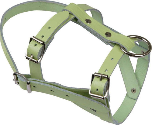 Capezza per pecora in pelle di bufalo doppia con fibbia in metallo Commercio Industria e Scienza/Attrezzature e forniture agricole/Attrezzature per animali di allevamento/Accessori per il trasporto La Zappa - Altamura, Commerciovirtuoso.it