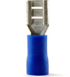 Capocorda-preisolante-blu-4,8X0,8-femmina-Aleyay