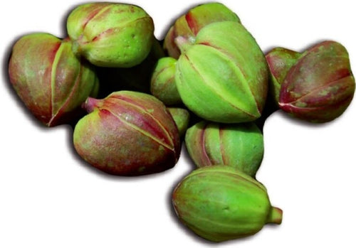 Capperi-Grossi-di-Salina-al-sale