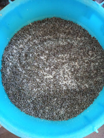 Capperi Piccoli Dop Sottosale Di Salina in 3 Buste Da 500g cadauna Azienda Agricola Dott. Lorenzo Mirabito