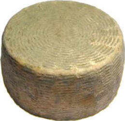 Caprino-della-razza-Girgentana-a-Crosta-Fiorita