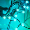 Capsule per luci di natale a led Mini Caps Twinkly Sfere in silicone Casa e cucina/Decorazioni per interni/Addobbi e decorazioni per ricorrenze/Decorazioni natalizie/Luci natalizie/Catene luminose per interni MagiediNatale.it - Altamura, Commerciovirtuoso.it