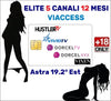 Smart Card Tessera TV per Adulti Viaccess Abbonamento Elite 5 Canali Astra 12 mesi