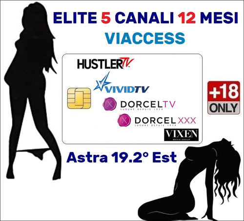 Smart Card Tessera TV per Adulti Viaccess Abbonamento Elite 5 Canali Astra 12 mesi