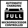 Caricatore universale per auto caricabatterie avviatore macchina 12V 24V