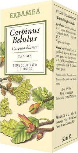CARPINUS-BETULUS-Gemmoderivato-50-ml-Erbamea