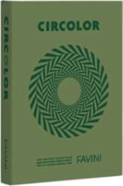 Carta Circolor - A4 - 80 gr - verde - Favini - conf. 500 fogli Casa e cucina/Hobby creativi/Carta e lavorazione della carta/Carta/Carta decorativa Eurocartuccia - Pavullo, Commerciovirtuoso.it