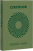 Carta Circolor - A4 - 80 gr - verde - Favini - conf. 500 fogli Casa e cucina/Hobby creativi/Carta e lavorazione della carta/Carta/Carta decorativa Eurocartuccia - Pavullo, Commerciovirtuoso.it