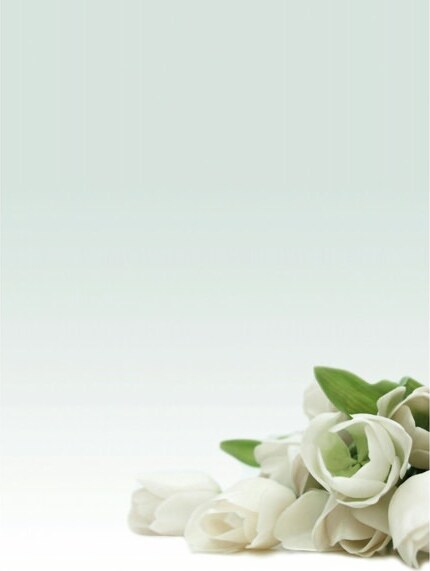 Carta con stampa ''rosa bianca'' - A4 - 90 gr - Decadry - conf. 20 fogli Cancelleria e prodotti per ufficio/Carta blocchi e quaderni/Carta/Carta da lettere Eurocartuccia - Pavullo, Commerciovirtuoso.it