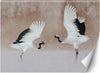 Carta-Da-Parati,-Airone-Uccelli-Beige