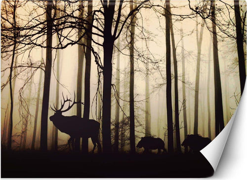 Carta-Da-Parati,-Animali-nella-foresta