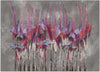 Carta-Da-Parati,-Astratto-Piante-Fiori-come-dipinto