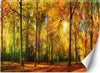 Carta-Da-Parati,-Autunno-Foresta-Natura