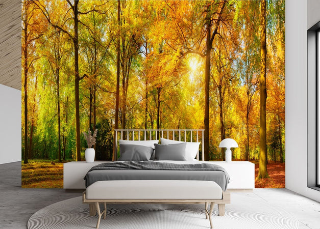 Carta-Da-Parati,-Autunno-Foresta-Natura