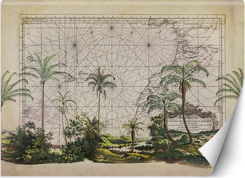 Carta-Da-Parati,-Biglietto-da-Palme-Tropical-Foglie
