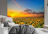 Carta-Da-Parati,-Campo-di-girasoli-Natura