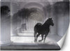 Carta-Da-Parati,-Cavallo-Tunnel-3D-Colonne-Grigio