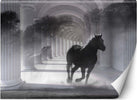 Carta-Da-Parati,-Cavallo-Tunnel-3D-Colonne-Grigio