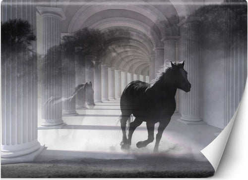 Carta-Da-Parati,-Cavallo-Tunnel-3D-Colonne-Grigio