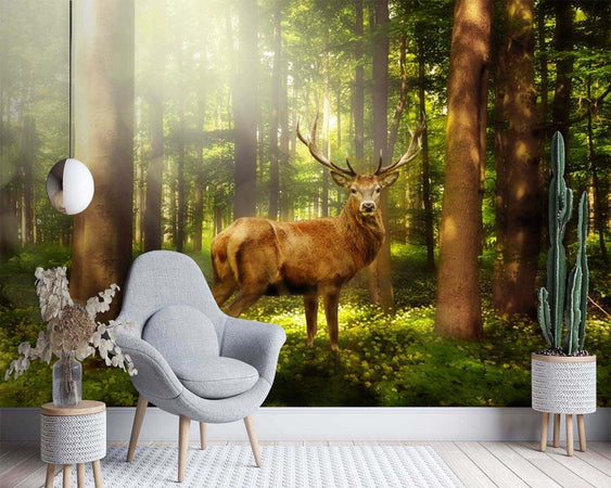 Carta-Da-Parati,-Cervo-Animali-Foresta-Natura