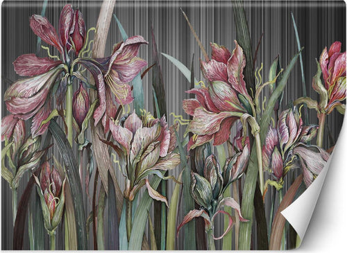 Carta-Da-Parati,-Delicati-fiori-di-iris-Piante-della-natura