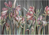 Carta-Da-Parati,-Delicati-fiori-di-iris-Piante-della-natura