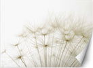 Carta-Da-Parati,-Dente-di-Leone-Macro-Beige