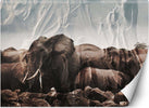 Carta-Da-Parati,-Elefante-Africa-Animale-Natura