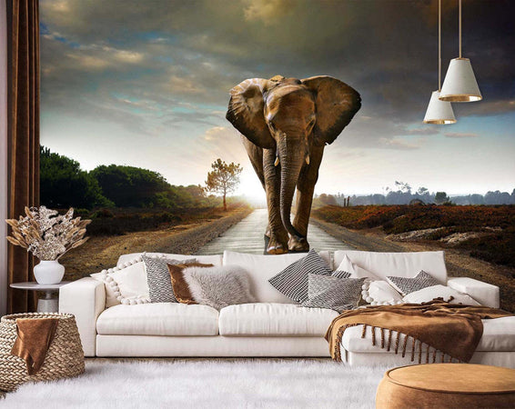 Carta-Da-Parati,-Elefante-nel-modo-animale-Africa