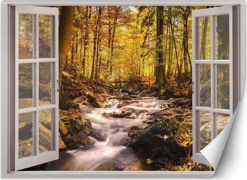 Carta-Da-Parati,-Finestra-Natura-del-ruscello-della-foresta