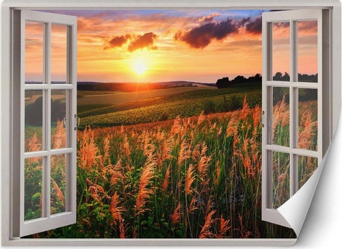 Carta-Da-Parati,-Finestra-Vista-del-tramonto-su-un-prato