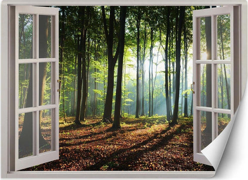 Carta-Da-Parati,-Finestra-vista-mattina-nella-foresta