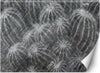 Carta-Da-Parati,-Fiori-di-cactus-grigio
