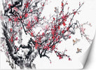 Carta-Da-Parati,-Fiori-di-ciliegio-in-Giappone