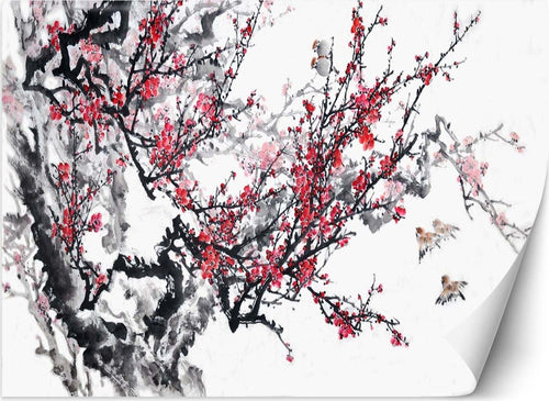 Carta-Da-Parati,-Fiori-di-ciliegio-in-Giappone