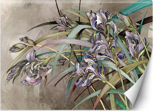 Carta-Da-Parati,-Fiori-di-Iris-Struttura-in-cemento