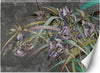 Carta-Da-Parati,-Fiori-di-Iris-Viola-Piante