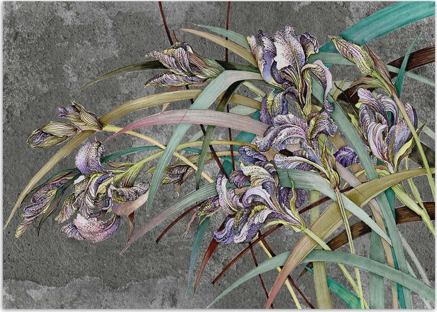 Carta-Da-Parati,-Fiori-di-Iris-Viola-Piante
