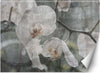 Carta-Da-Parati,-Fiori-di-orchidea-retrò